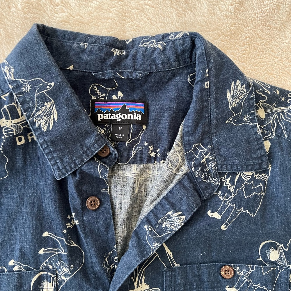 Patagonia Blue Graphic Button-Up Shirt